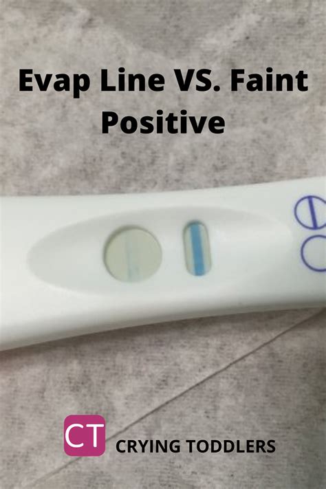 The Difference Between Evap Line And Faint Positive On Pregnancy Test