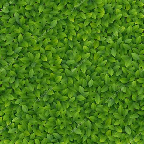 Green Leaves Texture Stock Vector Image By ©aviany 12028364