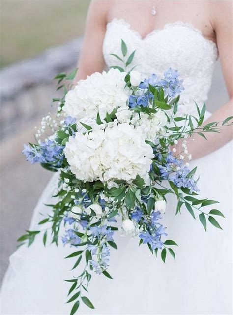 We did not find results for: Hydrangea bridal bouquet bridal bouquet with blue ...