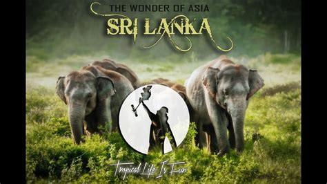 Sri Lanka The Wonder Of Asia Youtube