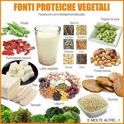 Proteine Vegetali La Guida Completa Vicodellaforma
