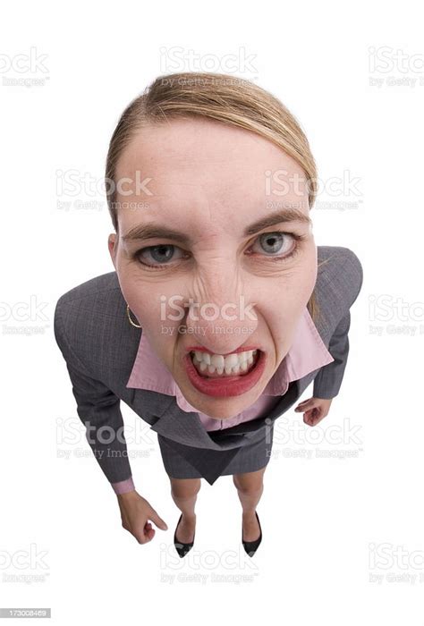 Angry Business Woman Stock Photo Download Image Now Businesswoman