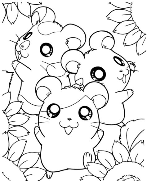 Hamster Coloring Pages To Print