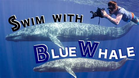 จากนั้นช่องยูทูปและเพจเฟซบุ๊ก i roam alone ลงคลิปใหม่ด้วยการไปต่างประเทศอีกครั้งในรอบปี โด. I Roam Alone - ศรีลังกา - ว่ายน้ำกับ 'วาฬสีน้ำเงิน' | Facebook