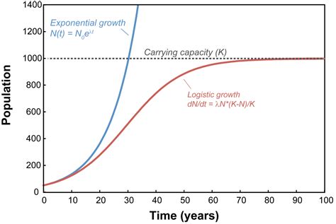 Difference Between Exponential Growth And Exponential