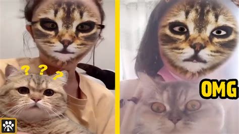 Hilarious Reaction Of Cats When They See Cat Face Filter Ep2😹 Youtube