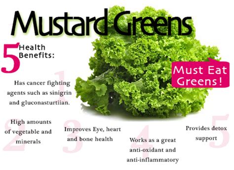 Benefits Of Mustard Greens المرسال
