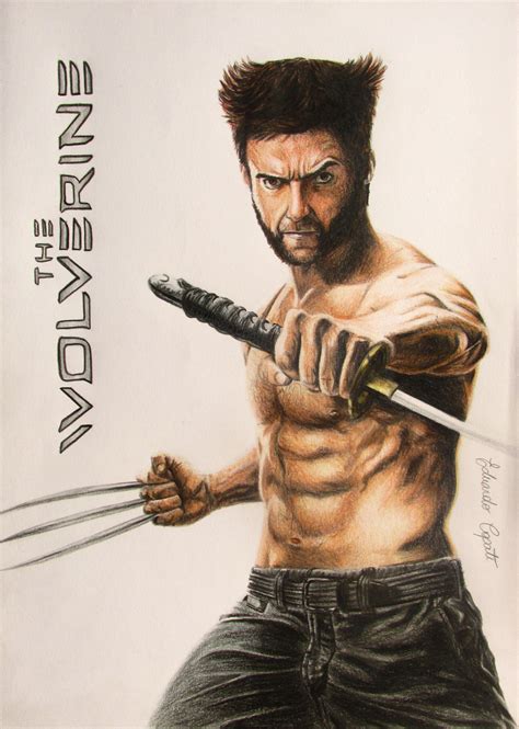 The Wolverine Drawing By Eduardocopati On Deviantart