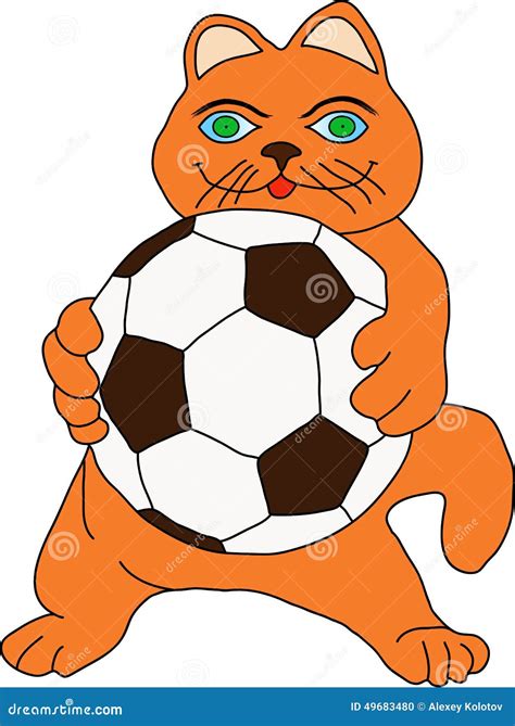 Cat With Ball Stock Vector Illustration Of Curiosity 49683480