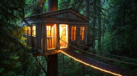 Tree House Forest House Outdoors Wallpapers Hd