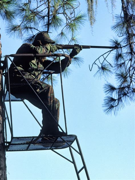 Record Number Of Alabama Deer Hunters Die In Tree Stand