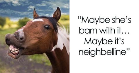 Horse Jokes For Kids