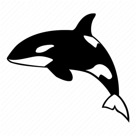 Killer Mammal Ocean Orca Predator Sea Whale Icon