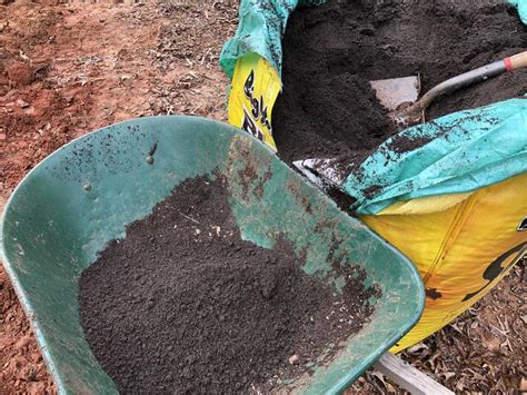 Potting Soil For Trees And Tree Fertilizer