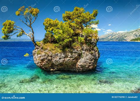 Amazing Rock Island Brela Makarska Riviera Dalmatia Croatia Europe