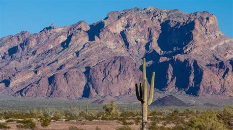 What To Do In Yuma Arizona 35 Best Yuma Attractions To See