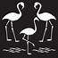 Shop Plaid FolkArt ® Painting Stencils  Small Flamingo 13225