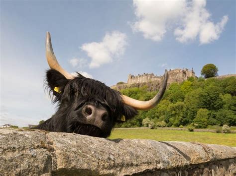 18 Best Castles In Scotland To Visit Uk Travel Planning