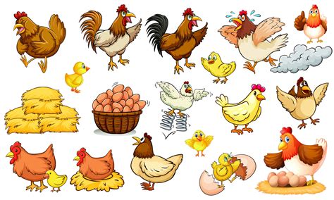 chickens clip art collection digital download for sublimation etsy