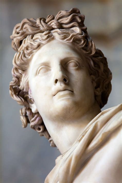 Apollo Belvedere Statue Apollo Statue Roman Sculpture Greek Sculpture