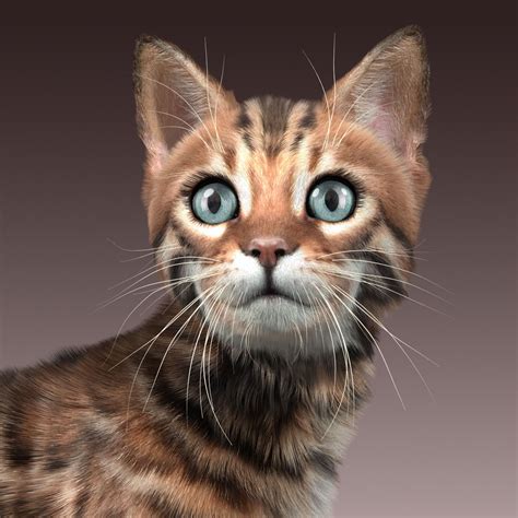 Free cat 3d models in obj, blend, stl, fbx, three.js formats for use in unity 3d, blender, sketchup, cinema 4d, unreal, 3ds max and maya. Bengal cat 2 FUR ANIMATED 3D Model animated rigged .max ...