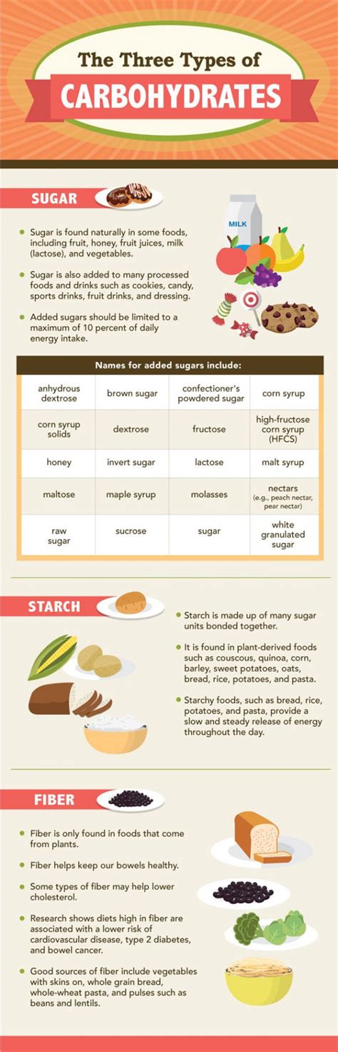 3 Types Of Carbohydrates Infographic Best Infographics