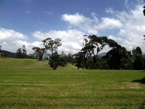 4.8 km da ambewela farms (apri mappa). New Zealand Farm, Ambewela - අඹේවෙල ගොවිපොල | Sri Lankan ...