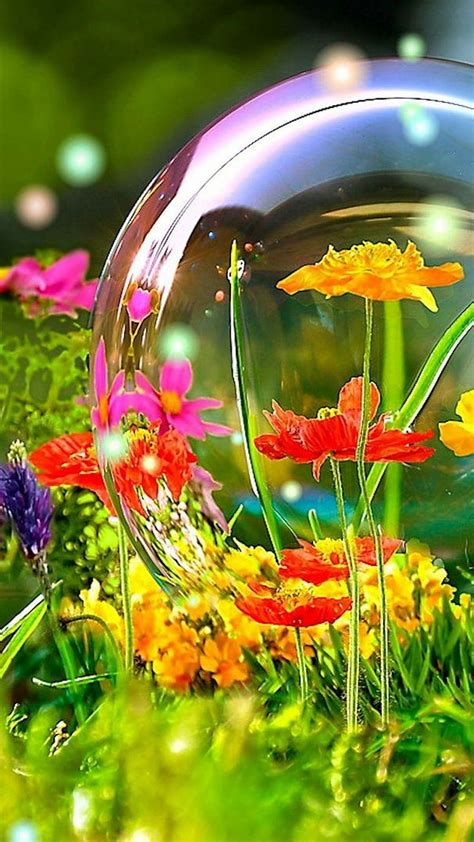 1920x1080px 1080p Free Download Summer Bubble Colourful Flowers