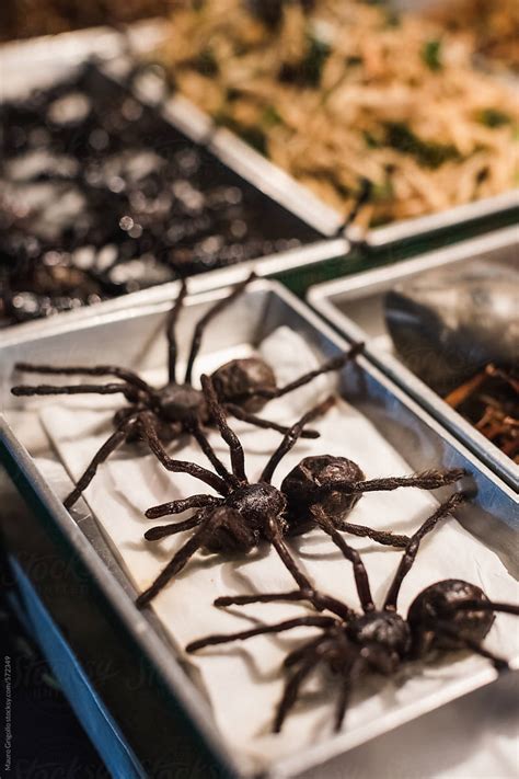 Fried Spiders Street Food In Thailand By Stocksy Contributor Mauro