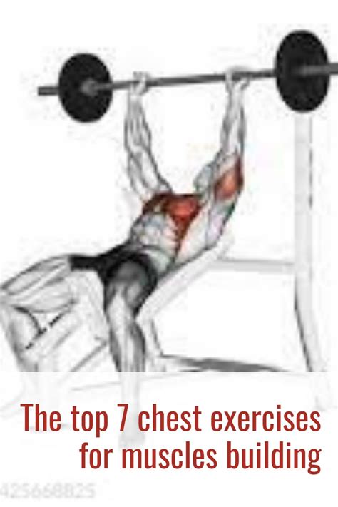 The Top 7 Chest Exercises For Muscles Building Chest Workouts