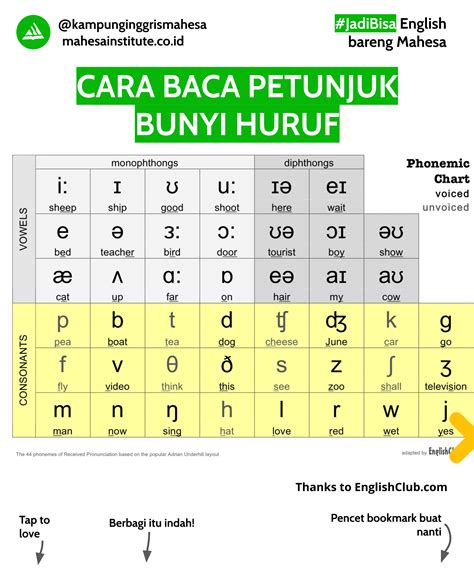 Apa Itu Vowel Dan Consonant Chart Phonetics And Phonology Exercises