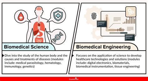 Biomedical Science Vs Biomedical Engineering Whats The Difference