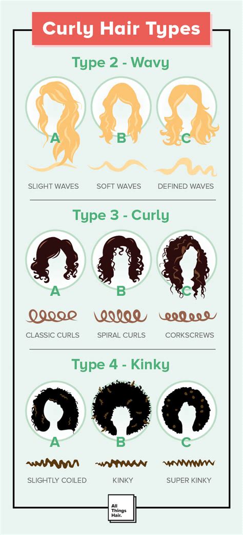 Curly Hair Types Hair Infographic To Understand Curly Hair