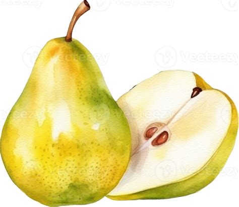 Pear Fruit Watercolor Illustration Ai Generated 24046186 Png