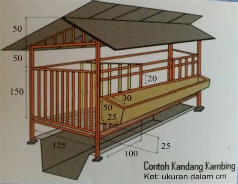 Tinggi kandang dari tanah ke tanah minimal 1 meter. BUDIDAYA KAMBING - pemuda tani