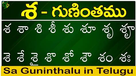 We did not find results for: శ గుణింతం | Sa gunintham | How to write Telugu Sa ...