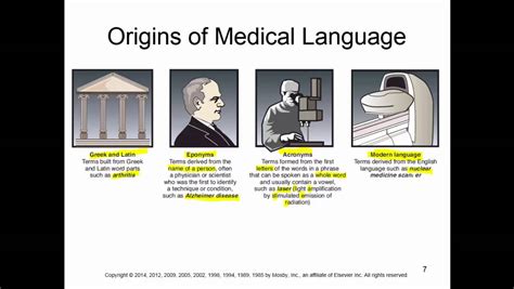 Four Origins Of Medical Language And Two Categories Of Medical Terms