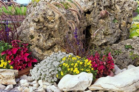 Floral design can be just as important as picking out. Rock Garden Ideas | Garden Rocks | Garden Rock Plants