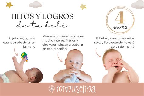 Top 145 Imagenes De El Desarrollo De Un Bebe Mx