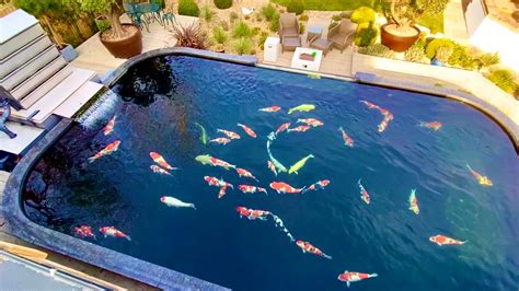 Is This Worlds Most Beautiful Private Koi Pond 20000gallon Youtube