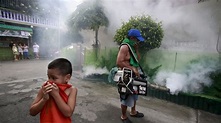 Philippines: Worst dengue outbreak in years kills over a thousand ...