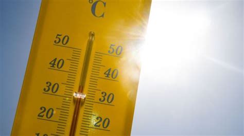 July Confirmed As Hottest Month On Record Bbc News