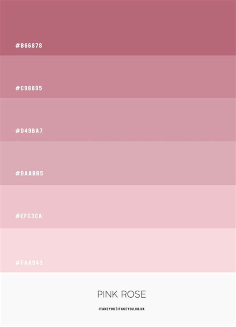 The Pink Rose Color Scheme Is Shown In Three Different Shades