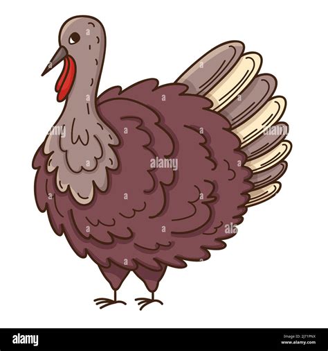 Live Turkey Poultry The Symbol Of Thanksgiving Design Element With