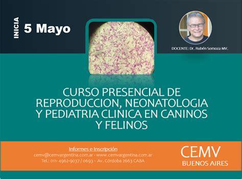 Curso Presencial De Reproducción Neonatología Y Pediatría En Caninos Y