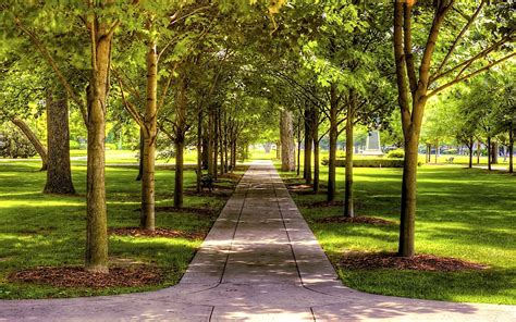 Download Walkway Path Greenery Tree Photography Park Hd Wallpaper