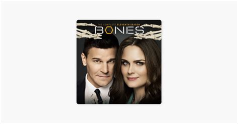 ‎bones Season 11 Bei Itunes