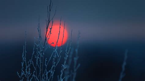 Nature Landscape Minimalism Clear Sky Simple Sun Sunset Winter