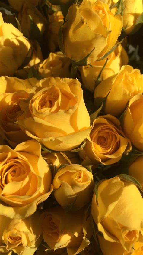 Yellow Aesthetic Flowers Wallpapers Wallpaper Cave