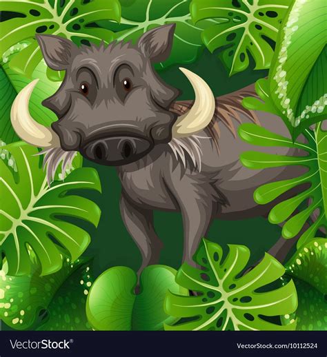 Wild Pig In The Bush Download A Free Preview Or High Quality Adobe